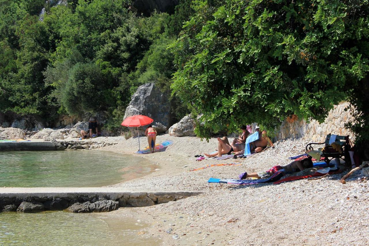 Apartments By The Sea Sladjenovici, Dubrovnik - 11531 斯拉诺 外观 照片
